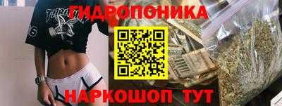 jwh Лесосибирск