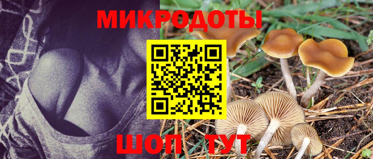 Галлюциногенные грибы Psilocybine cubensis  Вход с VPN  Камень-на-Оби  Галлюциногенные грибы Magic Shrooms 