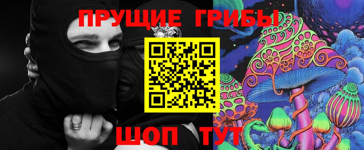 Псилоцибиновые грибы GOLDEN TEACHER Камень-на-Оби